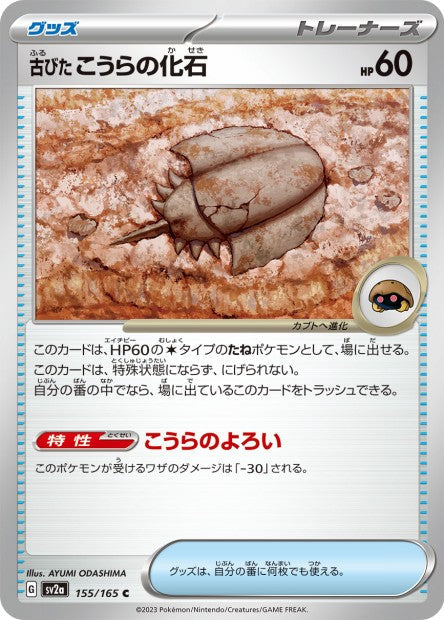 151 Japanese 155 Old Dome Fossil