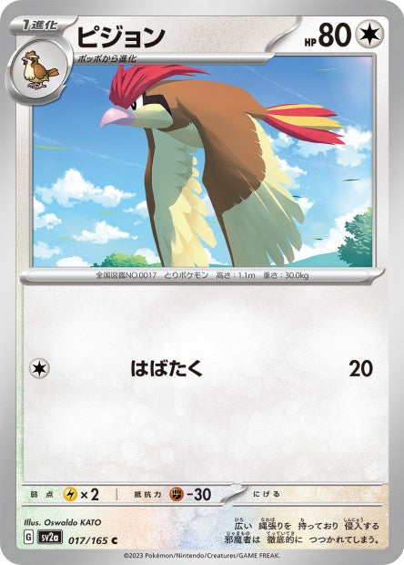 151 Japanese 17 Pidgeotto