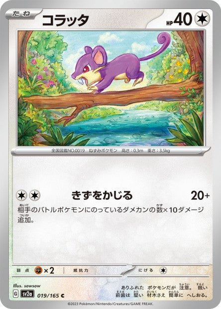 151 Japanese 19 Rattata