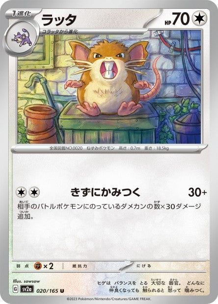 151 Japanese 20 Raticate