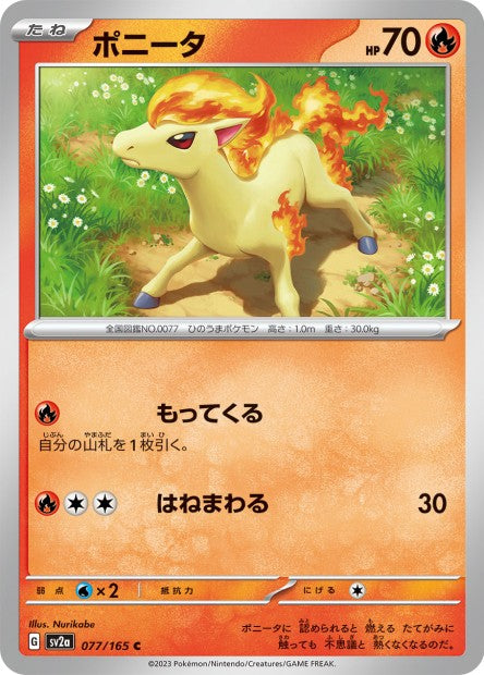 151 Japanese 77 Ponyta