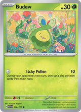 Ascended Heroes 16 Budew