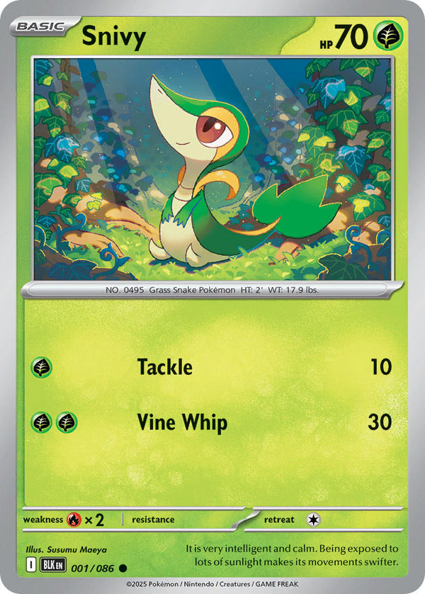 Black Bolt 001 Snivy