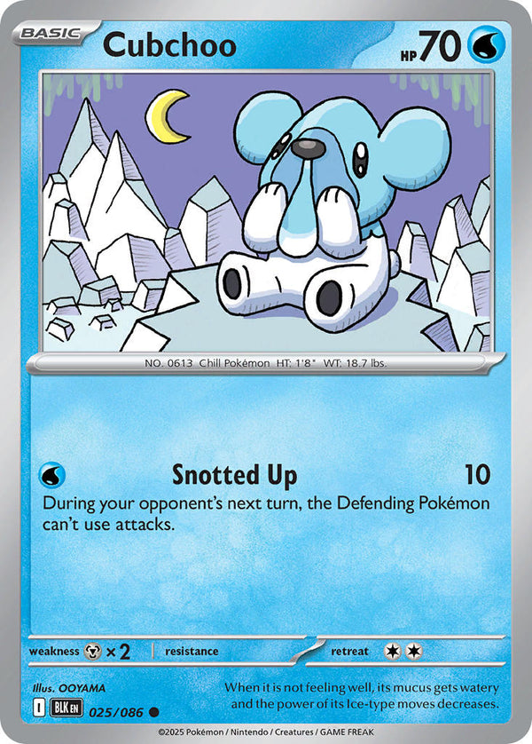 Black Bolt 025 Cubchoo