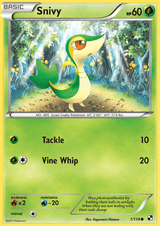 Black and White Base 001 Snivy