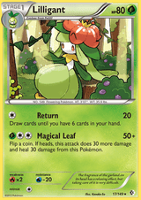 Boundaries Crossed 017 Lilligant