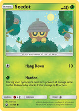 Celestial Storm 011 Seedot