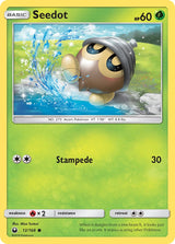 Celestial Storm 012 Seedot