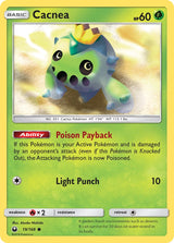 Celestial Storm 019 Cacnea