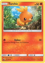 Celestial Storm 025 Torchic