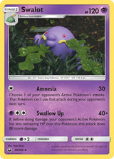 Celestial Storm 058 Swalot