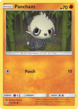 Cosmic Eclipse 119 Pancham