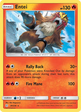 Cosmic Eclipse 028 Entei