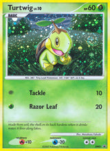 DP Black Star Promos 001 Turtwig