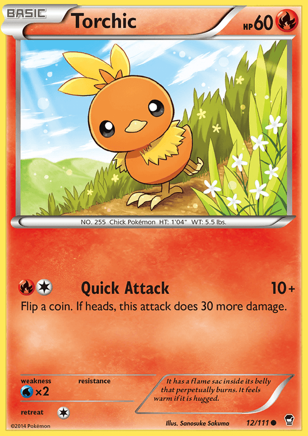 Furious Fists 012 Torchic