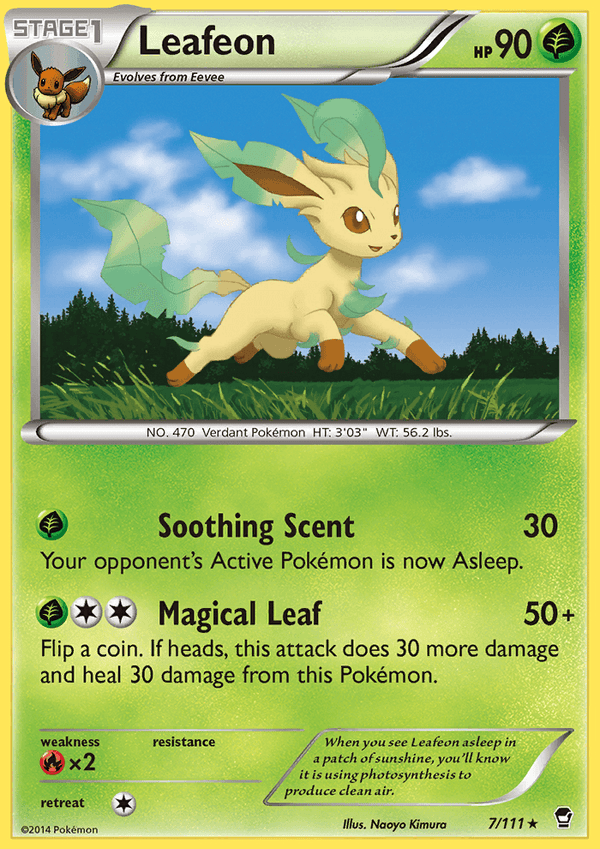 Furious Fists 007 Leafeon