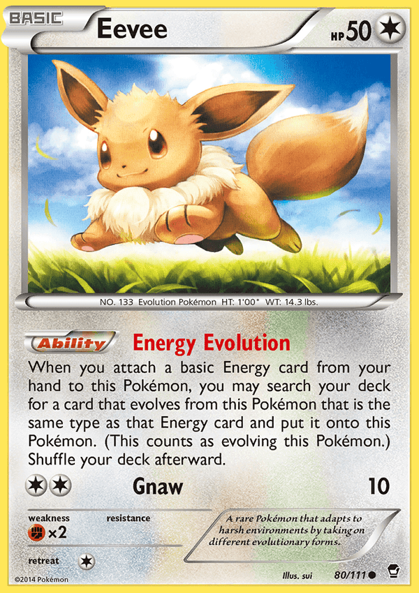 Furious Fists 080 Eevee