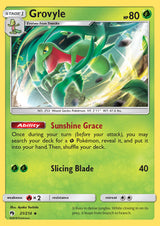 Lost Thunder 021 Grovyle