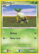 Majestic Dawn 077 Turtwig