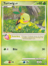 Majestic Dawn 078 Turtwig