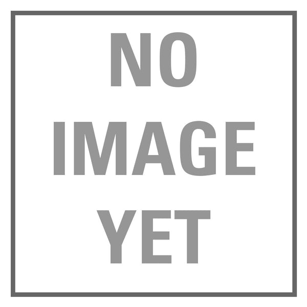 Mega Evolution Black Star Promos 025 Mega Kangaskhan ex