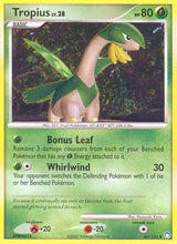 Mysterious Treasures 064 Tropius