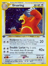 Neo Discovery 015 Ursaring