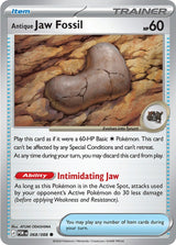 Perfect Order 068 Antique Jaw Fossil