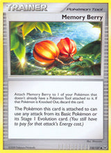 Platinum 110 Memory Berry