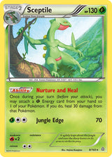 Primal Clash 008 Sceptile