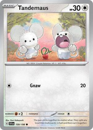 Descriptive image text