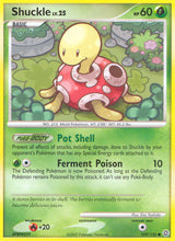 Secret Wonders 109 Shuckle