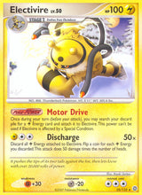 Secret Wonders 025 Electivire