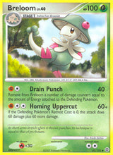 Secret Wonders 045 Breloom