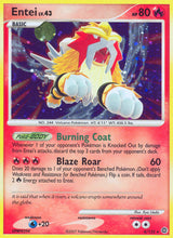 Secret Wonders 004 Entei