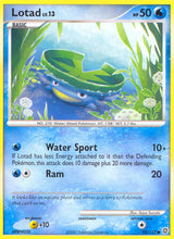 Secret Wonders 092 Lotad