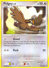 Secret Wonders 099 Pidgey