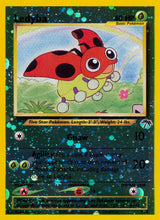 Southern Islands 007 Ledyba