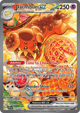 Stellar Crown 169 Dachsbun ex