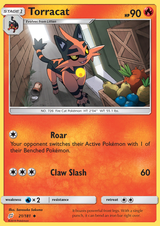 Team Up 21 Torracat
