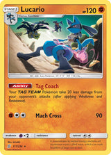 Unified Minds 117 Lucario