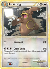 Unleashed 027 Ursaring