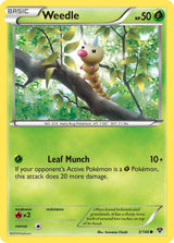 XY Base 003 Weedle