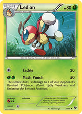 XY Base 007 Ledian