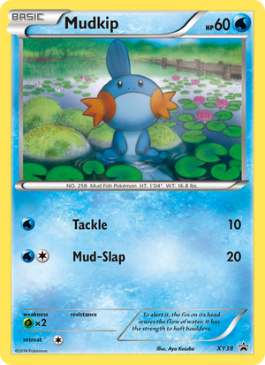 XY Black Star Promos XY38 Mudkip