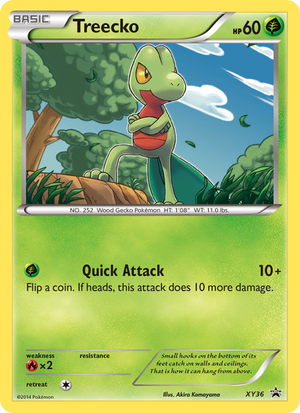 XY Black Star Promos XY36 Treecko