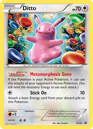 XY Black Star Promos XY40 Ditto
