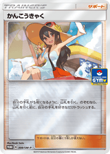 Sun & Moon Promos 308 Sightseer