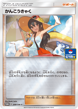 Sun & Moon Promos 308 Sightseer