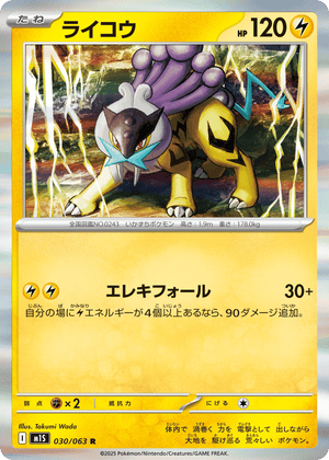 Mega Symphonia 030 Raikou